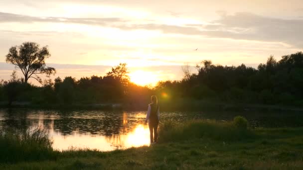 Woman Sportswear Suit Rises Hands Sky Apreciando Beleza Natureza Pôr — Vídeo de Stock