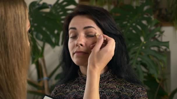 白人女性の顔に化粧品を適用するメイクアップアーティスト美容師 2倍スローモーション 5速度60 Fps — ストック動画