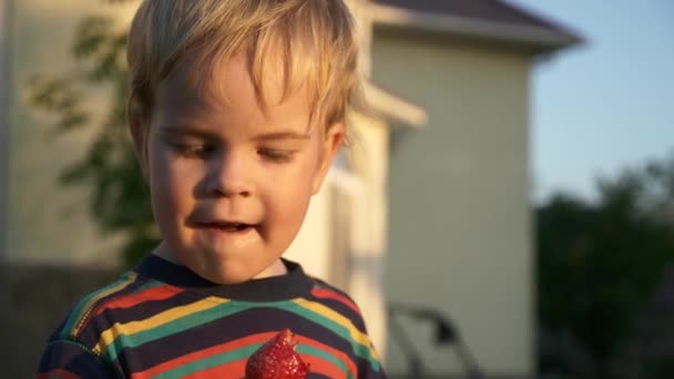 Liten Pojke Njuter Att Äta Goda Jordgubbar God Kväll Solljus — Stockvideo