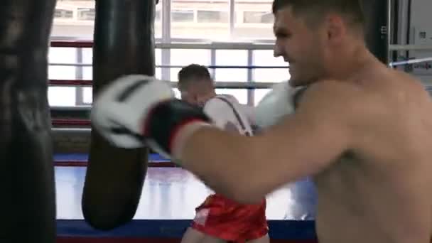 Entrenamiento Boxeador Masculino Caucásico 60P Urban Gym Practicar Golpes Sacos — Vídeo de stock