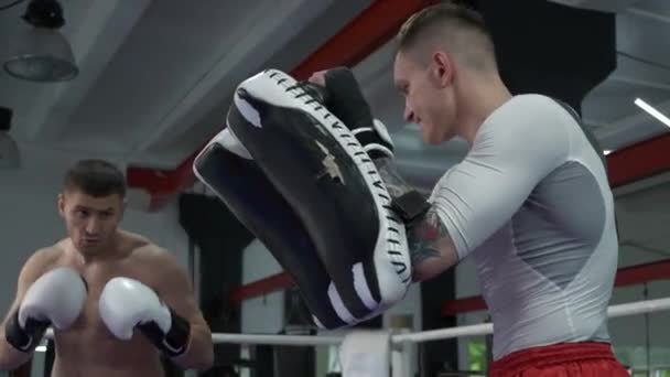 60P Caucasiano Masculino Boxer Formação Com Treinador Urban Gym Praticar — Vídeo de Stock