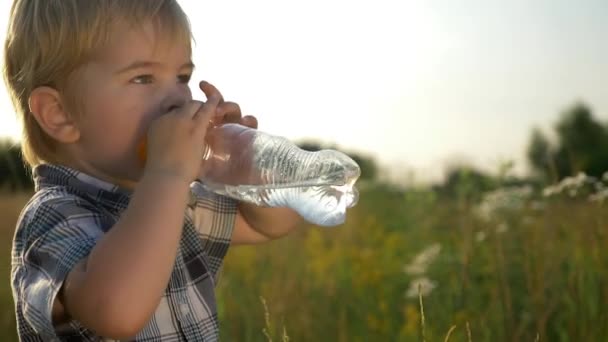 Little Boy Drinks Water Standing High Grass Field Summer Sunset — Stock Video