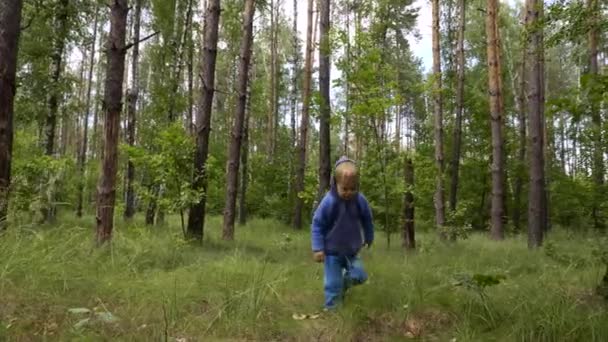 Petit garçon qui court seul dans la forêt. Enfant solitaire errant dans le bois. Saison estivale 