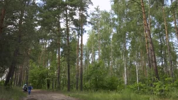 森の中を一人で走っている少年 孤独な子供が森の中をさまよっている 夏の季節 — ストック動画