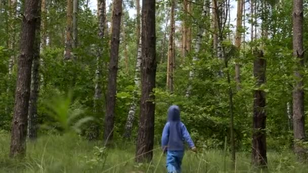 Petit garçon qui court seul dans la forêt. Enfant solitaire errant dans le bois. Saison estivale 
