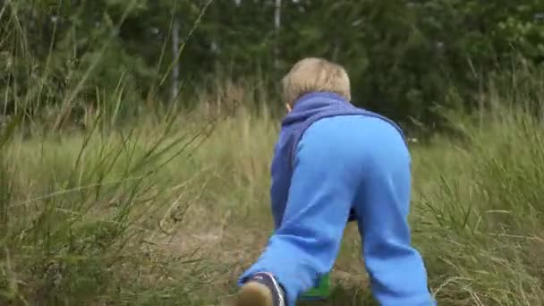 Vidám Kisfiú Játszik High Grass Field Fényes Napsütéses Nyári Nap — Stock videók