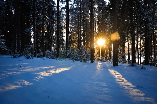 Raggi di sole sulla neve — Foto Stock