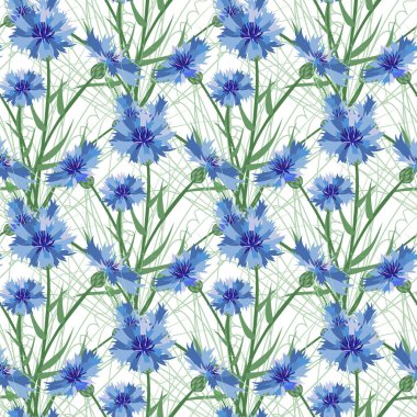 Sorunsuz arka planını çiçekler. Peygamber Çiçeği. Desen.