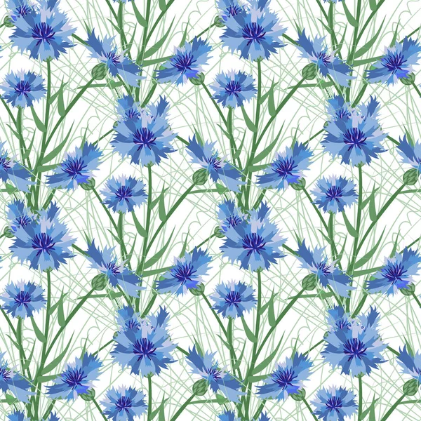 Seamless background of wildflowers. Cornflower. Pattern. — Stock Vector