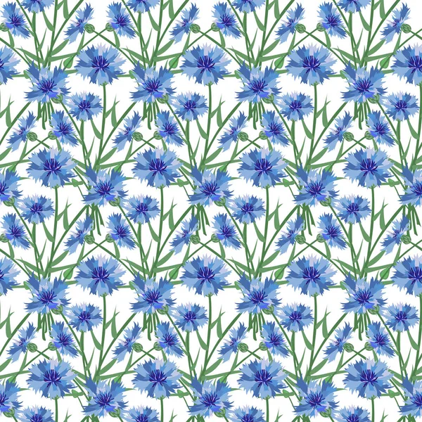 Seamless background of wildflowers. Cornflower. Pattern. — Stock Vector