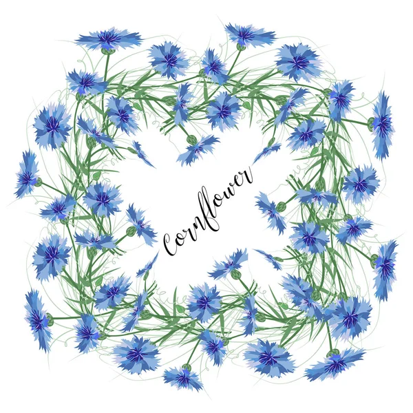 La couronne de bleuets fleurit sur un fond blanc. Élément de décoration . — Image vectorielle