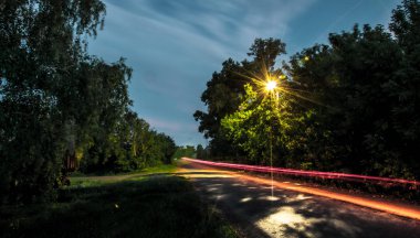 Araba ışıklar parça orman geceleri de yol.