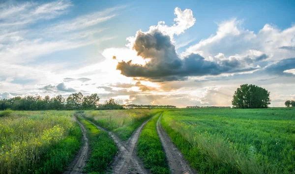 Cruce en el campo al atardecer. Camino de campo dividido. Hermosas nubes. Paisaje rural — Foto de Stock