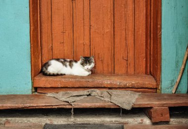 Şirin kedi kır evi verandada yalan. Kırsal sahne. Köy yaşamı