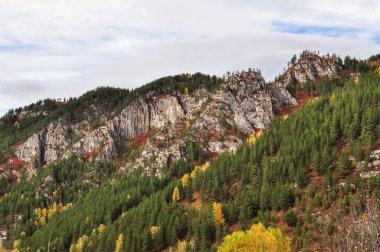 Kayalar, kırmızı bitkiler ve ormanlar ile kaplı. Altay Dağları, Sibirya, Rusya Federasyonu.