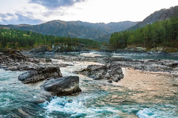 Грубый ручей реки Чемал в горах Алтая, Сибирь, Россия — стоковое фото