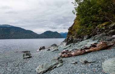 Taşlı kıyısında Teletskoye Gölü'nün oturum. Altay Dağları, Sibirya, Rusya Federasyonu