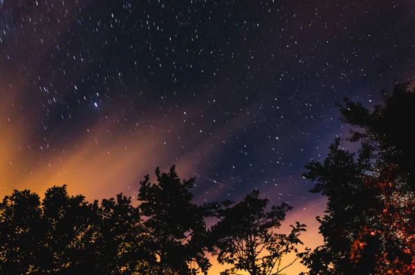 Estrellas y nubes en el cielo nocturno detrás de siluetas de árboles — Foto de Stock