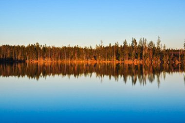 Güzel gün batımı göl kıyısında. Suya yansıtan orman.
