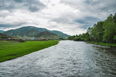 Altay Dağları nehirde Ursul. Rus doğa manzara