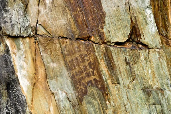 Petroglyphs ancient rock paintings in the Altai Mountains, Russia