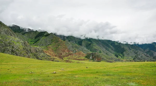 Prado verde contra montanhas cobertas de nuvens. Altai, Rússia — Fotografia de Stock