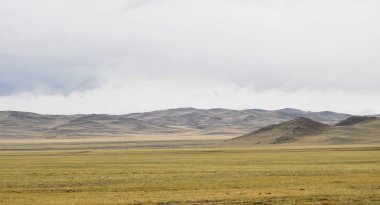 Altay dağlarında bozkır