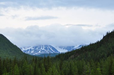 Bulutlu kar kaplı dağ tepe. Altay, Rusya Federasyonu