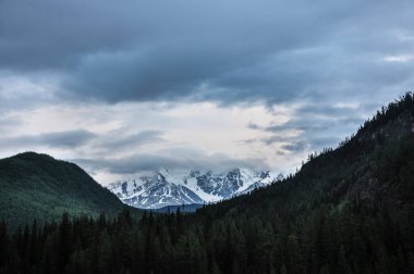 Bulutlu kar kaplı dağ tepe. Altay, Rusya Federasyonu