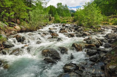 Ormanda kaba fırtınalı nehir. Altay Dağları, Sibirya