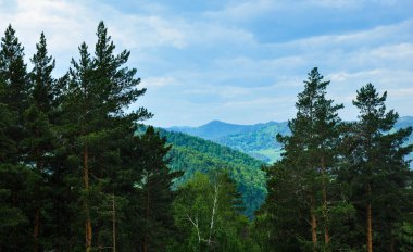 Orman karşı hava dağ manzarası. Altay, Sibirya, Rusya Federasyonu