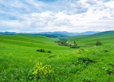 Yeşil çayır ve orman dağların karşı. Altay, Rusya Federasyonu.