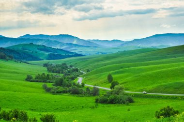 Yeşil çayır ve orman dağların karşı. Altay, Rusya Federasyonu.