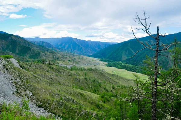 Paysage d'une vallée de montagne. Col de route Chike-Taman, Altaï — Photo