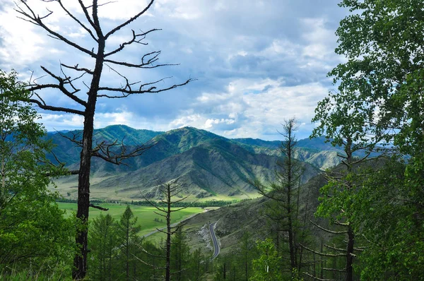 Paysage d'une vallée de montagne. Col de route Chike-Taman, Altaï — Photo