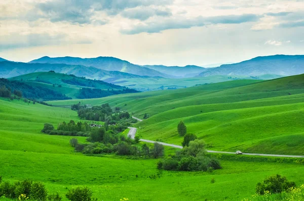 Yeşil çayır ve orman dağların karşı. Altay, Rusya Federasyonu.