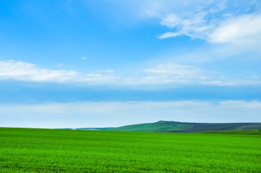 Yeşil çayır ve orman dağların karşı. Altay, Rusya Federasyonu.