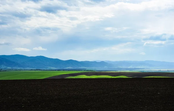 Rural landscape, plowed field, mountain ridge at the horizon. Altai, Russia — Stock Photo, Image