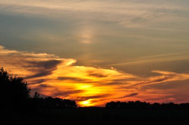 Ağaçlar ve alan siluetleri yukarıda altın günbatımı gökyüzü.
