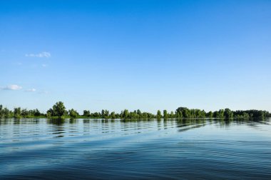 Yüzey ve ormanlık plajlar OB Altay, Rusya Nehri'nin su.