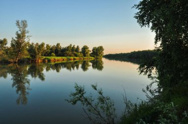 Sakin doğa sahne. Yumuşak akşam günbatımı renkleri nehirde Ob yüzey ve yeşil kıyıları su. Altay, Rusya Federasyonu.