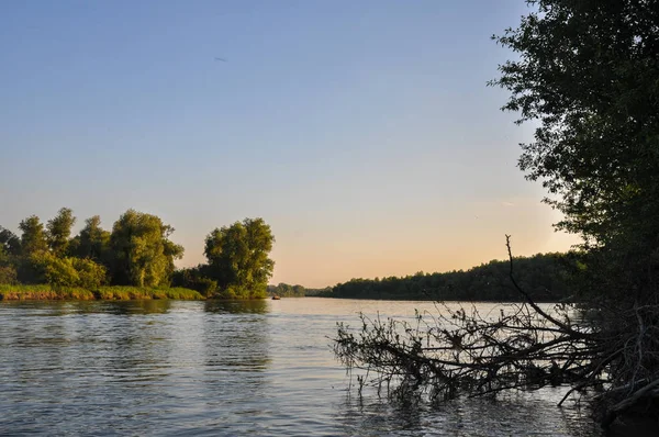 Cena de natureza tranquila. Superfície de água e margens verdes do rio Ob em cores de pôr do sol de noite suaves. Altai, Rússia . — Fotografia de Stock