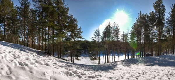 Paisaje invernal. Lago congelado, nieve y pinos. Panorama — Foto de Stock