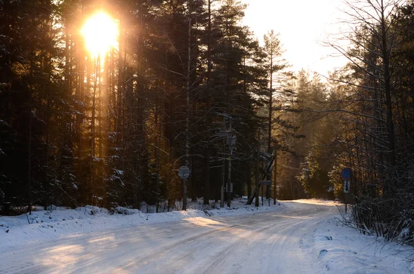 Winter forest, icy snow-covered road and beaming rays of sunset landscape — Stock Photo, Image