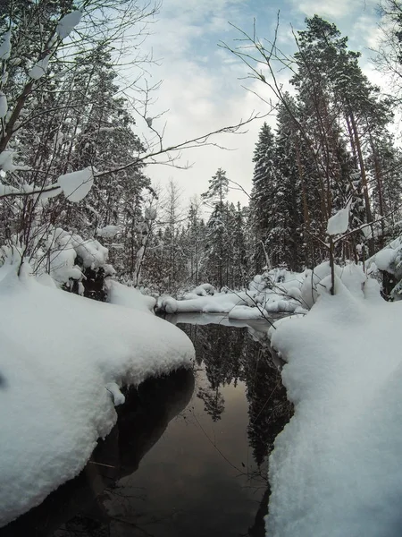 Unfrozen creek in snowy pine forest. Winter landscape — Stock Photo, Image