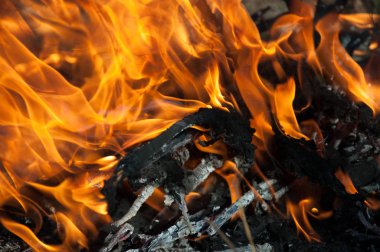 Kamp ateşi alev ve duman. Yanan çırpı ve kuru ot. Atış kapatın.