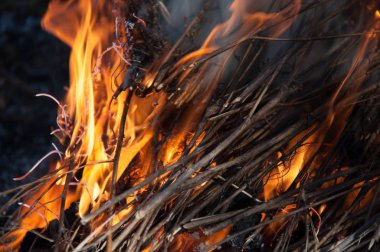 Kamp ateşi alev ve duman. Yanan çırpı ve kuru ot. Atış kapatın.