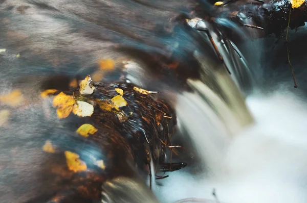 Córrego liso que flui riacho na floresta de outono — Fotografia de Stock