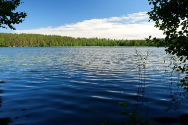 Orman gölü mavi bulutlu gökyüzünün altında. Dalgalı su yüzeyi. Yaz günü doğa manzarası