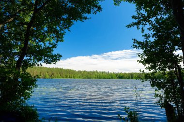 Orman gölü mavi bulutlu gökyüzünün altında. Dalgalı su yüzeyi. Yaz günü doğa manzarası